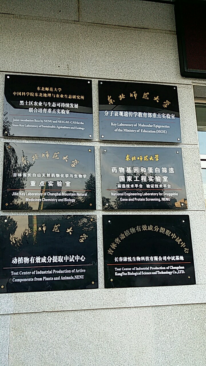 东北师范大学人文学院毕业证查询