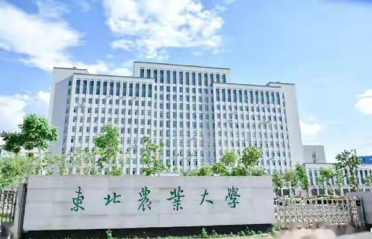 东北林业大学林学院