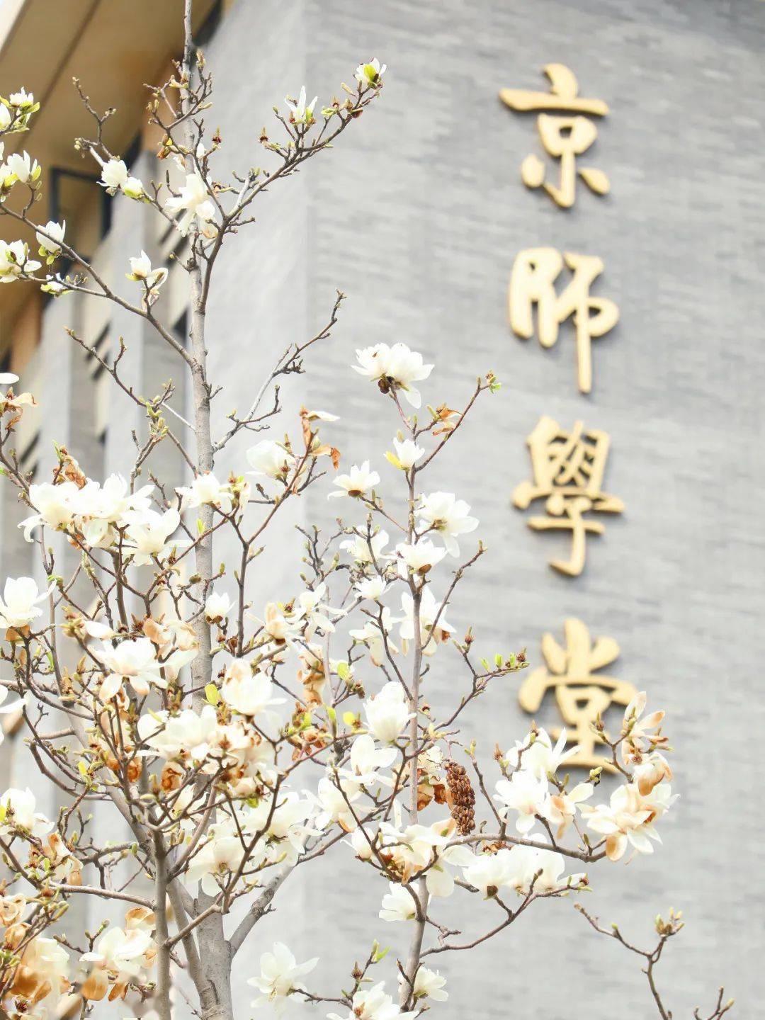 北京师范大学珠海校区