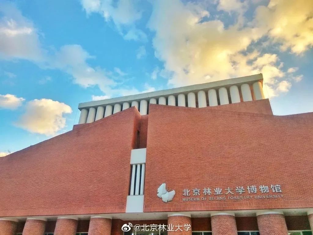 北京林业大学有大专吗