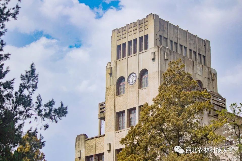 西北农林科技大学文凭报考条件