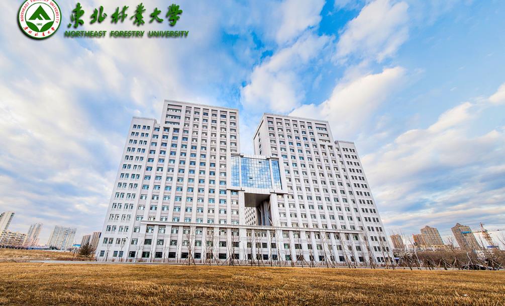 东北林业大学毕业证图片