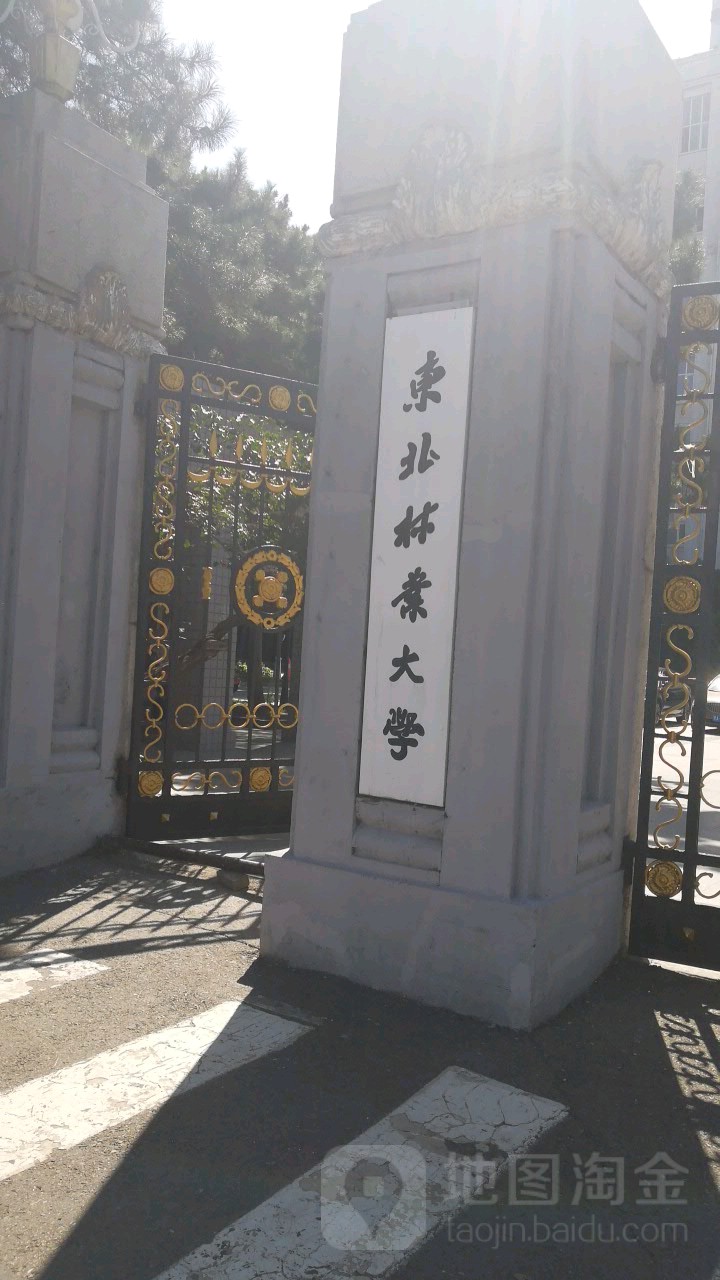 东北林业大学毕业证图片