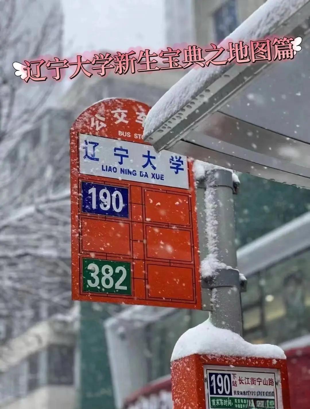 辽宁大学教务处