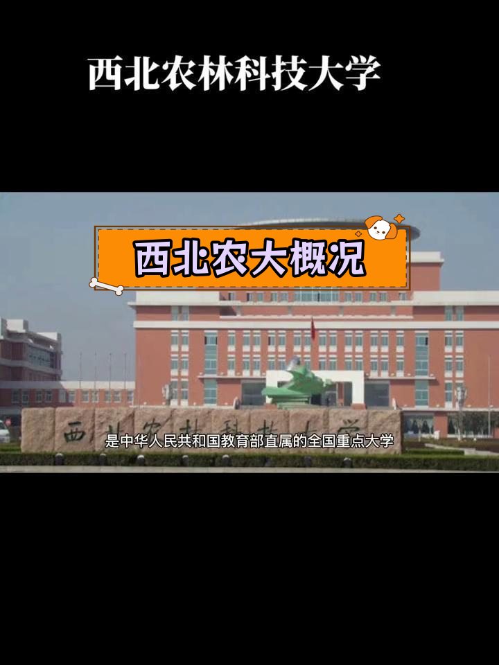 西北农林科技大学官网