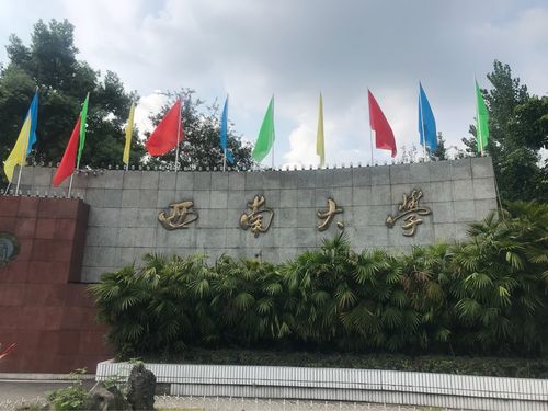 西南大学公费师范生