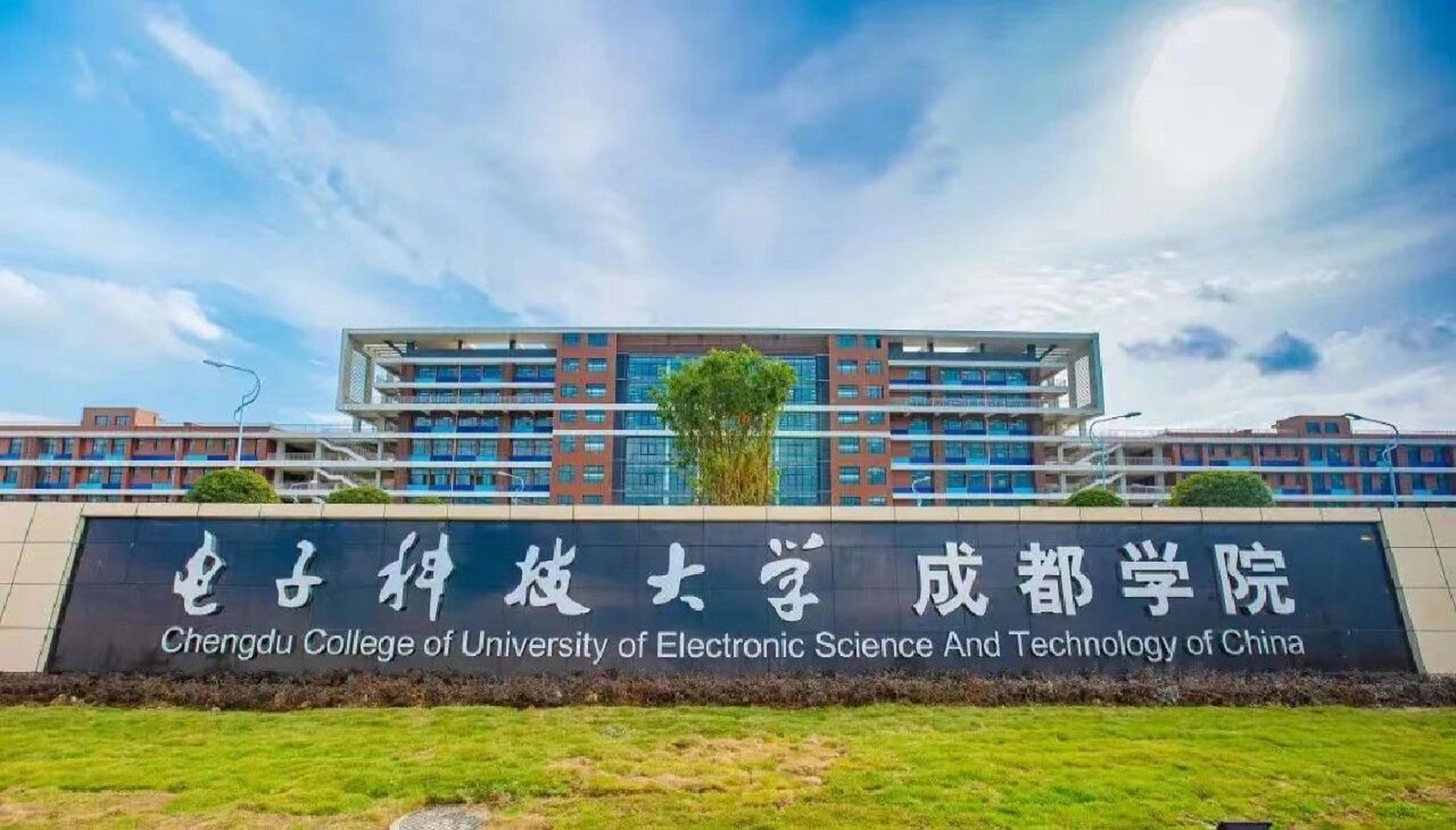 电子科技大学排名