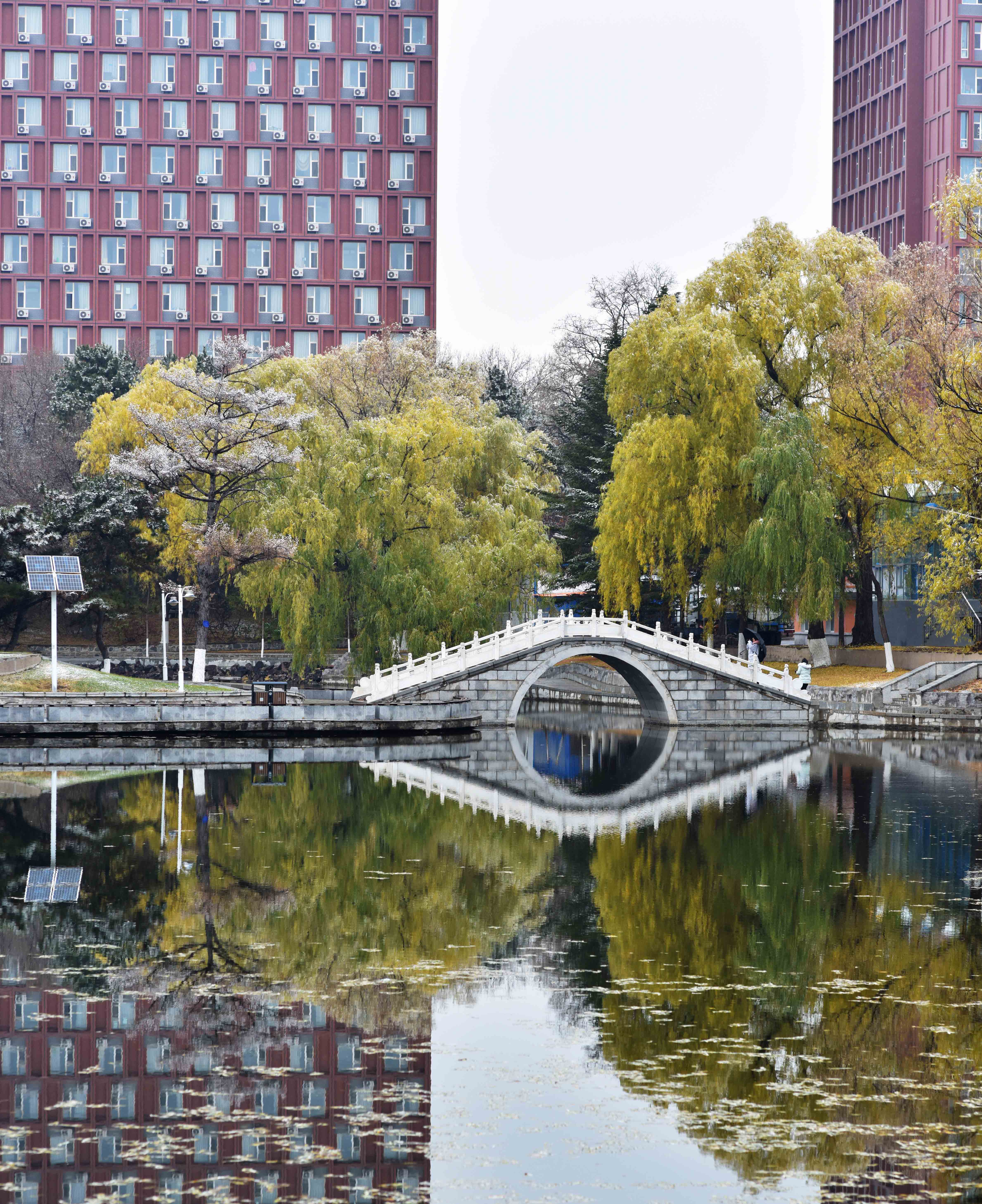 东北师范大学化学学院