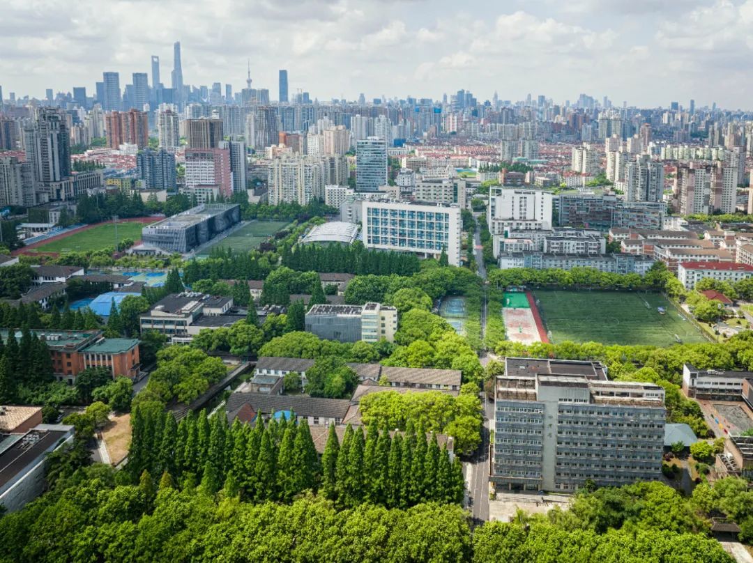 同济大学王牌专业