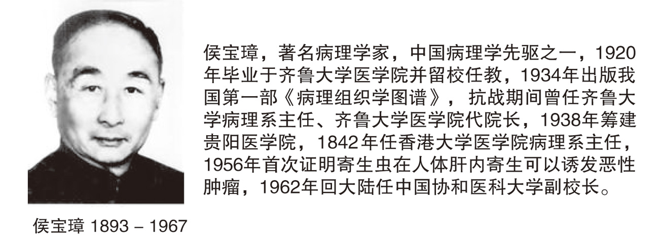 山东大学本科毕业要求